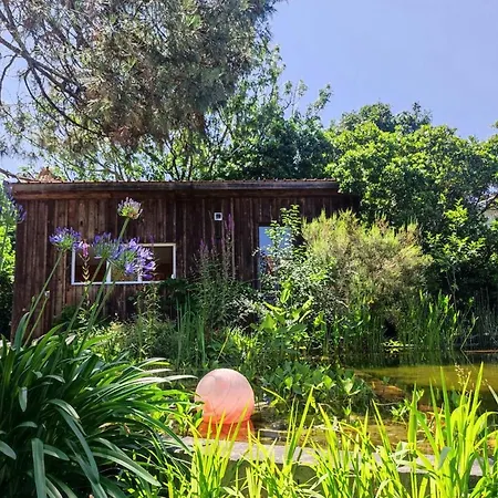 Dans En Bois Avec Piscine Ecologique 3*