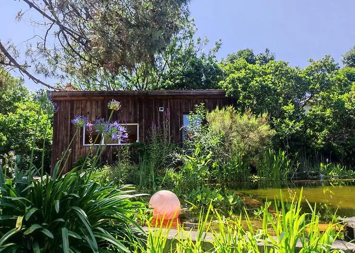 Dans En Bois Avec Piscine Ecologique 3*